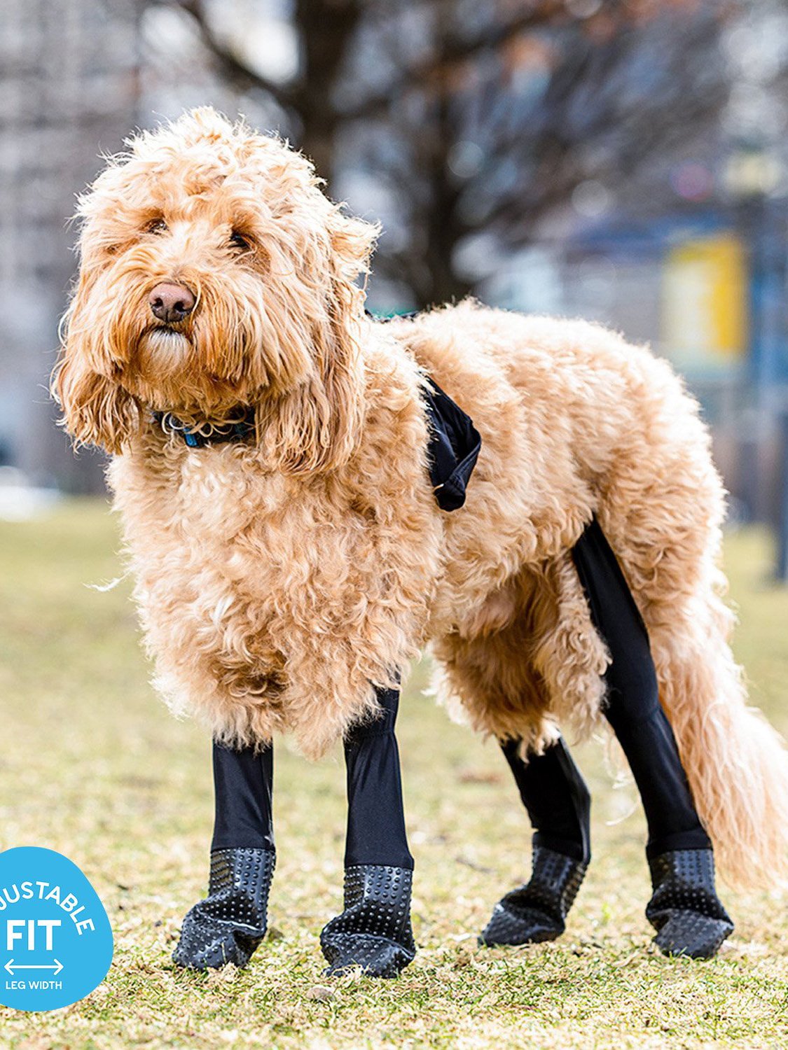 Paws With Attitude Scottish Terrier Dog Print Full Length Leggings Black 